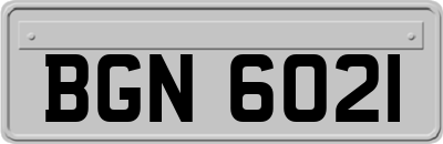 BGN6021