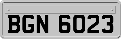 BGN6023