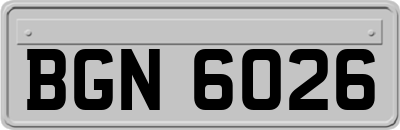 BGN6026