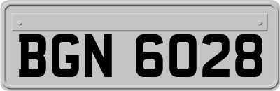 BGN6028