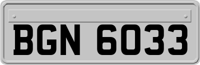 BGN6033