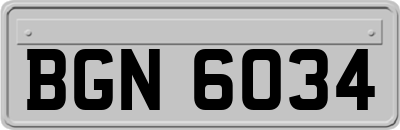 BGN6034