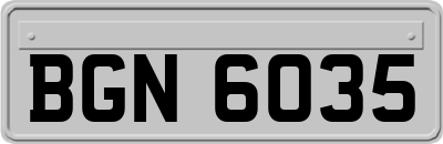 BGN6035