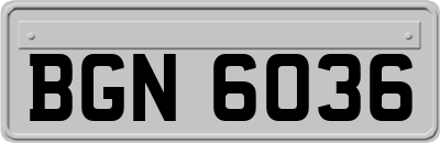 BGN6036