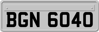 BGN6040