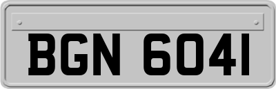 BGN6041