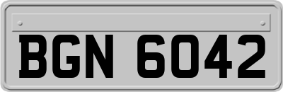 BGN6042