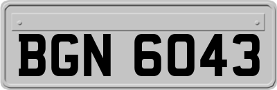 BGN6043