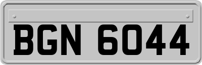 BGN6044