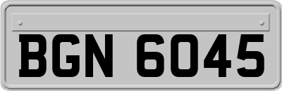 BGN6045