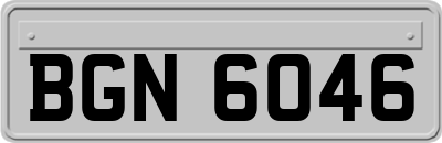 BGN6046