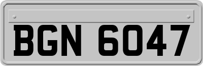 BGN6047