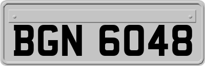 BGN6048