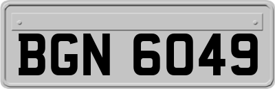 BGN6049