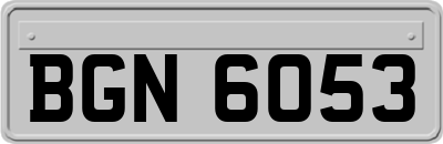 BGN6053