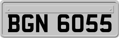 BGN6055
