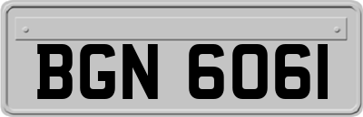 BGN6061