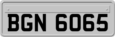 BGN6065