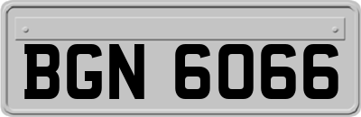 BGN6066