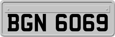 BGN6069