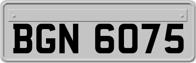 BGN6075