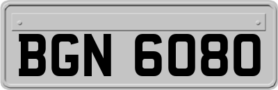 BGN6080