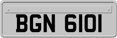BGN6101