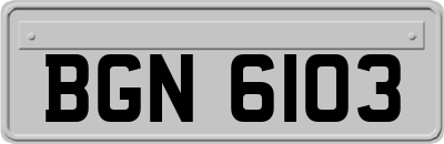 BGN6103