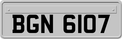 BGN6107