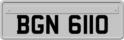 BGN6110