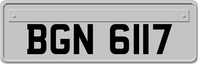 BGN6117