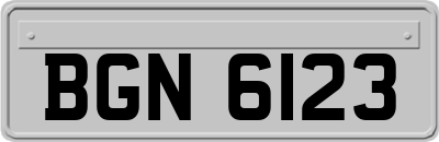 BGN6123