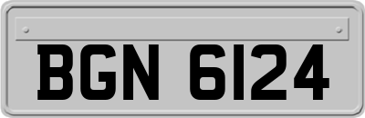 BGN6124