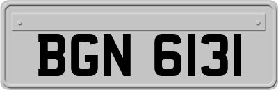 BGN6131
