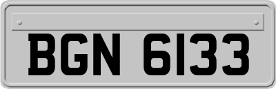 BGN6133