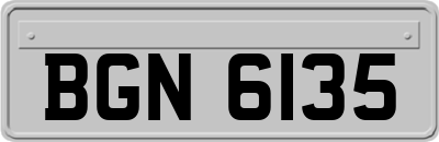 BGN6135