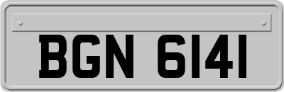 BGN6141