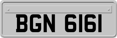 BGN6161