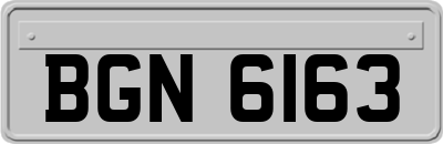 BGN6163
