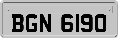 BGN6190