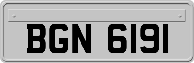 BGN6191