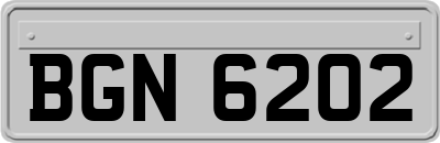 BGN6202