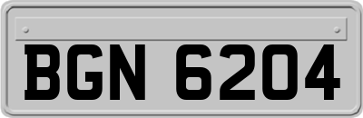 BGN6204
