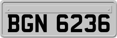 BGN6236