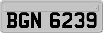BGN6239