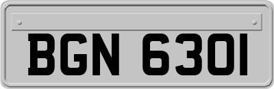 BGN6301