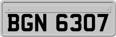 BGN6307