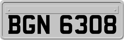BGN6308