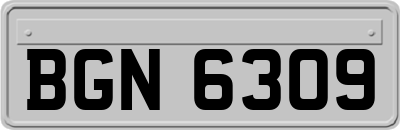 BGN6309