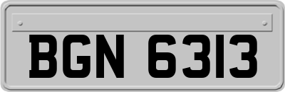 BGN6313